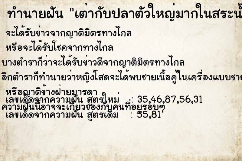 ทำนายฝัน เต่ากับปลาตัวใหญ่มากในสระน้ำ ตำราโบราณ แม่นที่สุดในโลก