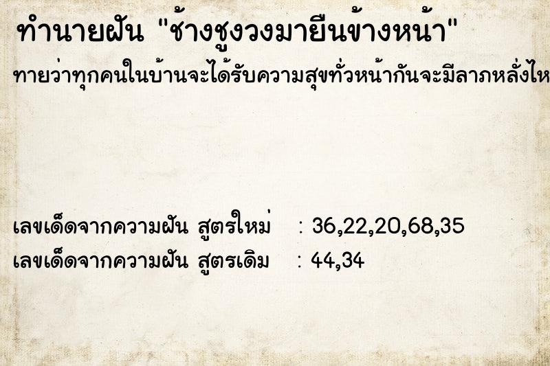 ทำนายฝันช้างชูงวงมายืนข้างหน้า ทำนายฝันทำนายฝันช้างชูงวงมายืนข้างหน้า