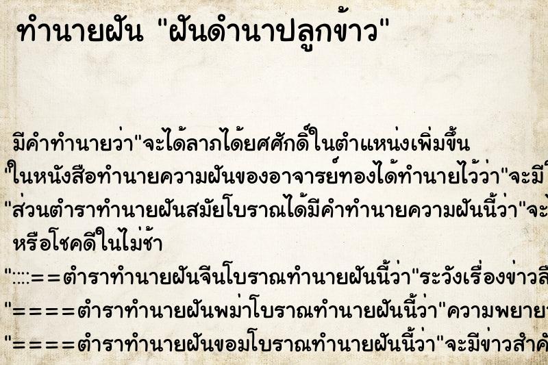 ทำนายฝันทำนายฝันฝันดำนาปลูกข้าว