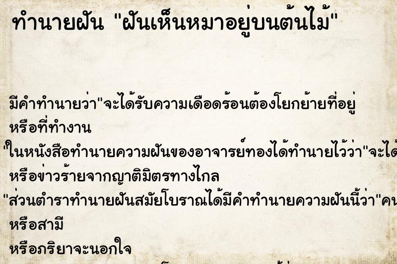 ทำนายฝัน ฝันเห็นหมาอยู่บนต้นไม้ ทำนายฝัน ฝันเห็นหมาอยู่บนต้นไม้