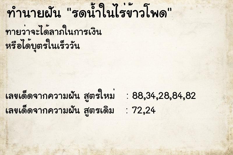 ทำนายฝัน รดน้ำในไร่ข้าวโพด ทำนายฝัน รดน้ำในไร่ข้าวโพด