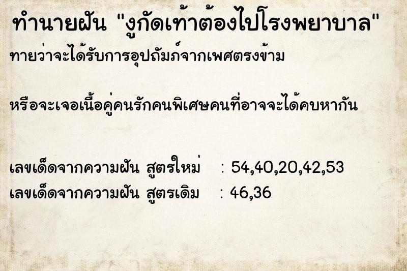 ทำนายฝันงูกัดเท้าต้องไปโรงพยาบาล ทำนายฝันทำนายฝันงูกัดเท้าต้องไปโรงพยาบาล