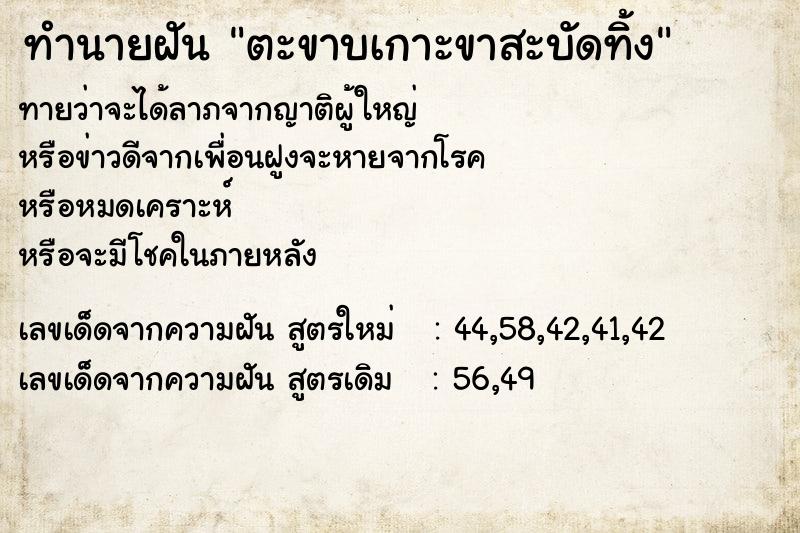 ทำนายฝันตะขาบเกาะขาสะบัดทิ้ง ทำนายฝันทำนายฝันตะขาบเกาะขาสะบัดทิ้ง