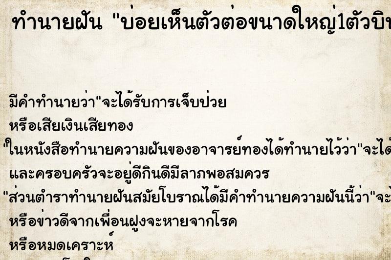 ทำนายฝันบ่อยเห็นตัวต่อขนาดใหญ่1ตัวบินมาตอมตัวเอง ทำนายฝันทำนายฝันบ่อยเห็นตัวต่อขนาดใหญ่1ตัวบินมาตอมตัวเอง
