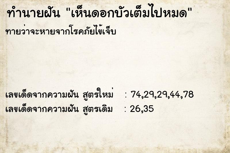 ทำนายฝันทำนายฝันเห็นดอกบัวเต็มไปหมด