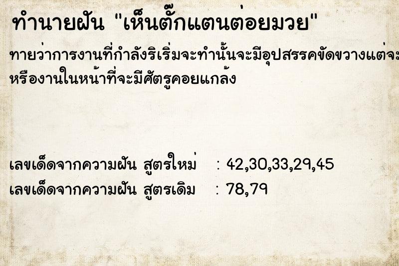 ทำนายฝันทำนายฝันเห็นตั๊กแตน​ต่อยมวย