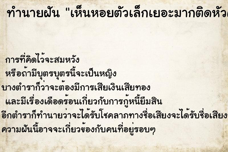 ทำนายฝันเห็นหอยตัวเล็กเยอะมากติดหัวคนอื่น ทำนายฝันทำนายฝันเห็นหอยตัวเล็กเยอะมากติดหัวคนอื่น