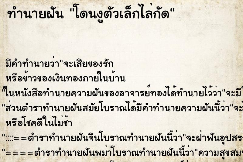 ทำนายฝัน โดนงูตัวเล็กไล่กัด ทำนายฝัน โดนงูตัวเล็กไล่กัด