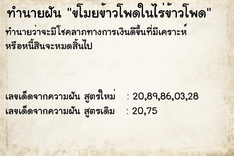 ทำนายฝันทำนายฝันขโมยข้าวโพดในไร่ข้าวโพด