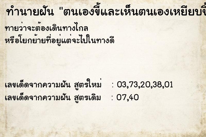 ทำนายฝันตนเองขี้และเห็นตนเองเหยียบขี้ ทำนายฝันทำนายฝันตนเองขี้และเห็นตนเองเหยียบขี้