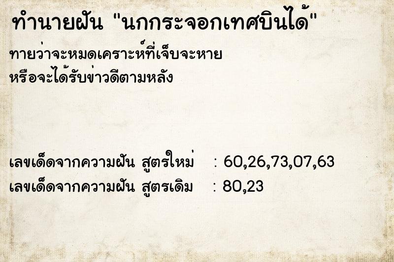 ทำนายฝันนกกระจอกเทศบินได้ ทำนายฝันทำนายฝันนกกระจอกเทศบินได้