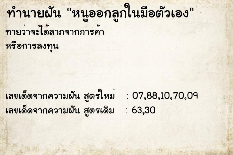 ทำนายฝันทำนายฝันหนูออกลูกในมือตัวเอง