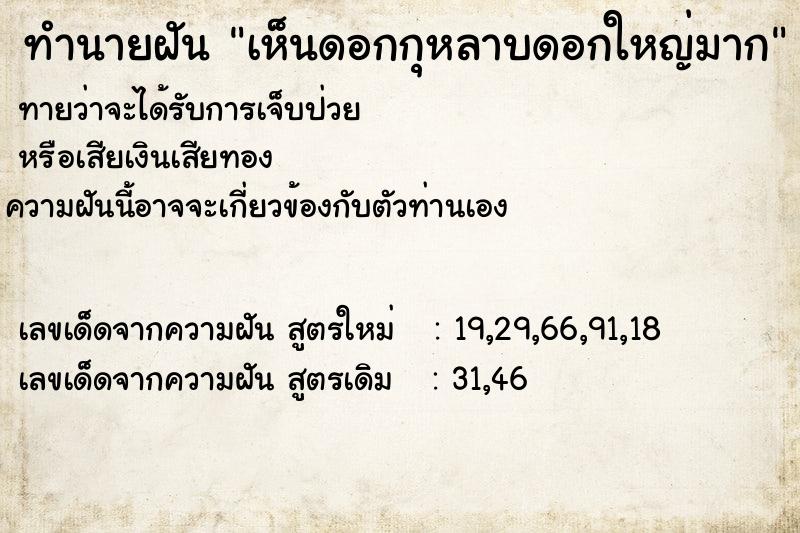 ทำนายฝันทำนายฝันเห็นดอกกุหลาบดอกใหญ่มาก