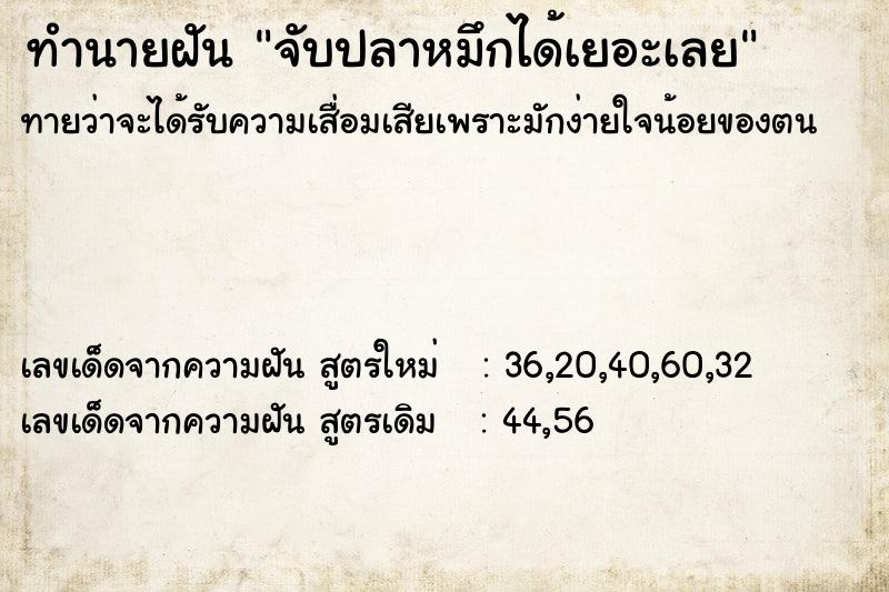 ทำนายฝัน จับปลาหมึกได้เยอะเลย ทำนายฝัน จับปลาหมึกได้เยอะเลย