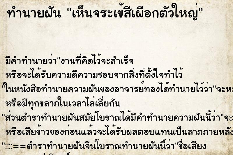 ทำนายฝัน เห็นจระเข้สีเผือกตัวใหญ่ ทำนายฝัน เห็นจระเข้สีเผือกตัวใหญ่