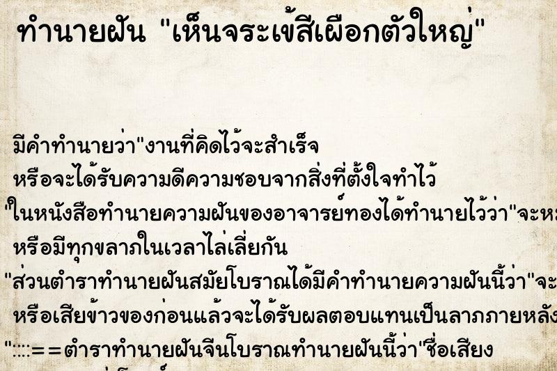 ทำนายฝัน เห็นจระเข้สีเผือกตัวใหญ่ ตำราโบราณ แม่นที่สุดในโลก