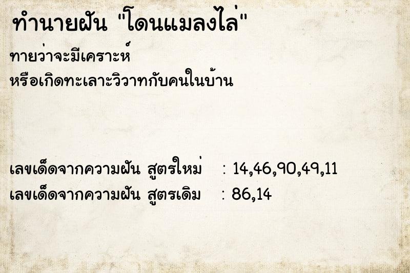 ทำนายฝัน โดนแมลงไล่ ตำราโบราณ แม่นที่สุดในโลก