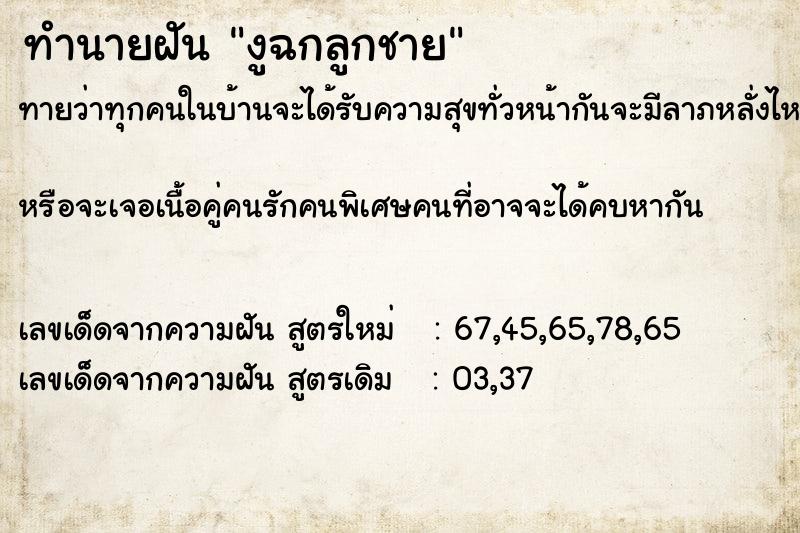 ทำนายฝันทำนายฝันงูฉกลูกชาย