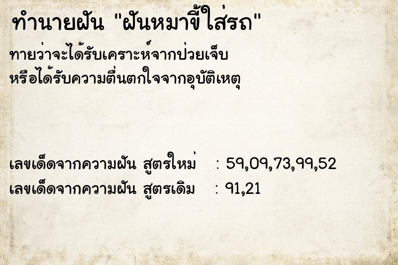 ทำนายฝันฝันหมาขี้ใส่รถ ทำนายฝันทำนายฝันฝันหมาขี้ใส่รถ