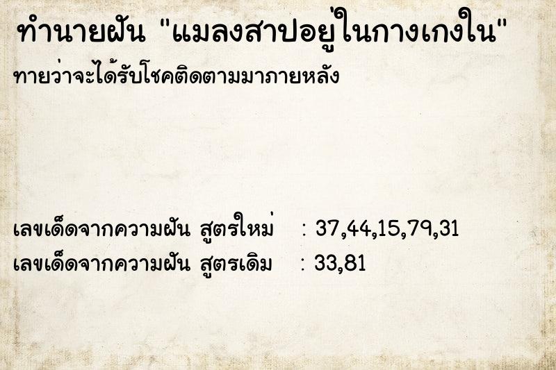 ทำนายฝันแมลงสาปอยู่ในกางเกงใน ทำนายฝันทำนายฝันแมลงสาปอยู่ในกางเกงใน