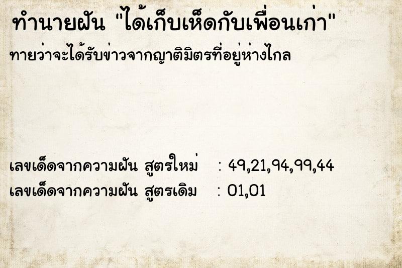 ทำนายฝันได้เก็บเห็ดกับเพื่อนเก่า ทำนายฝันทำนายฝันได้เก็บเห็ดกับเพื่อนเก่า