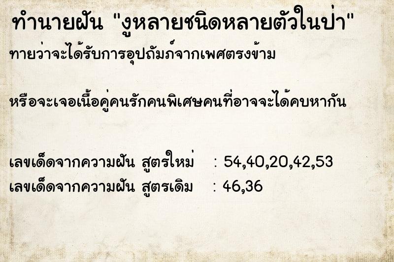 ทำนายฝัน งูหลายชนิดหลายตัวในป่า