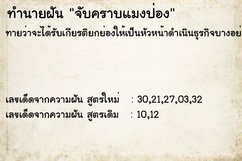 ทำนายฝันทำนายฝันจับคราบแมงป่อง