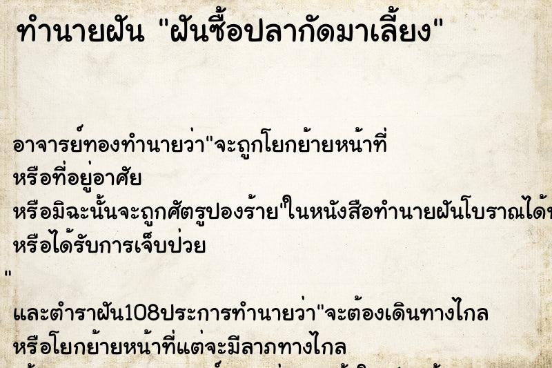 ทำนายฝัน ฝันซื้อปลากัดมาเลี้ยง