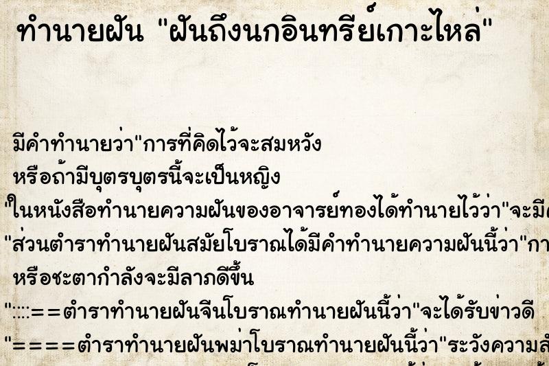 ทำนายฝันทำนายฝันฝันถึงนกอินทรีย์เกาะไหล่