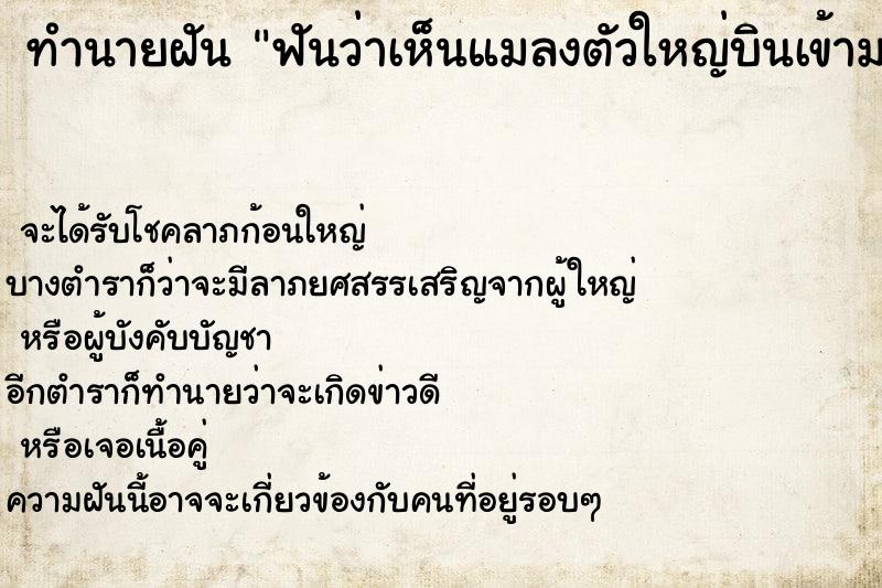 ทำนายฝันฟันว่าเห็นแมลงตัวใหญ่บินเข้ามาจะทำร้าย ทำนายฝันทำนายฝันฟันว่าเห็นแมลงตัวใหญ่บินเข้ามาจะทำร้าย