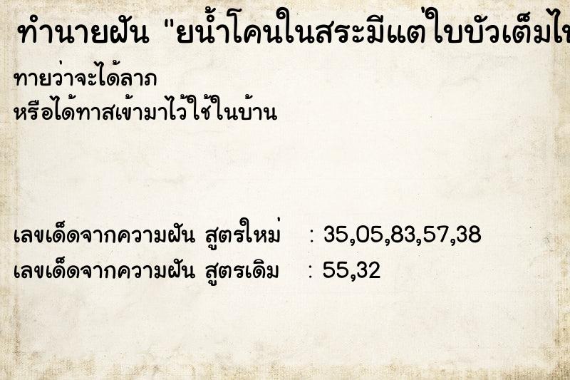 ทำนายฝันยน้ำโคนในสระมีแต่ใบบัวเต็มไปหมด ทำนายฝันทำนายฝันยน้ำโคนในสระมีแต่ใบบัวเต็มไปหมด
