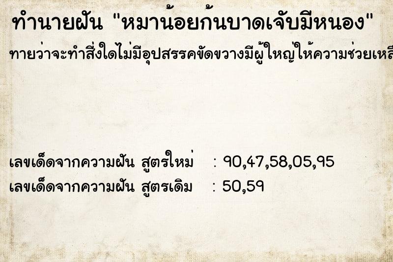ทำนายฝันหมาน้อยก้นบาดเจับมีหนอง ทำนายฝันทำนายฝันหมาน้อยก้นบาดเจับมีหนอง