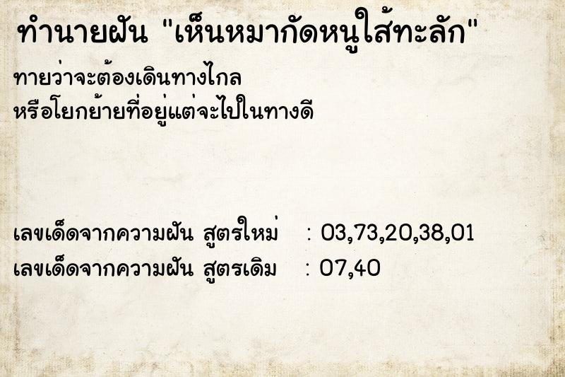 ทำนายฝันเห็นหมากัดหนูใส้ทะลัก ทำนายฝันทำนายฝันเห็นหมากัดหนูใส้ทะลัก