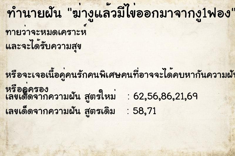 ทำนายฝันฆ่างูแล้วมีไข่ออกมาจากงู1ฟอง ทำนายฝันทำนายฝันฆ่างูแล้วมีไข่ออกมาจากงู1ฟอง