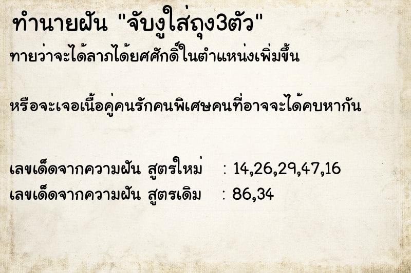 ทำนายฝันจับงูใส่ถุง3ตัว ทำนายฝันทำนายฝันจับงูใส่ถุง3ตัว