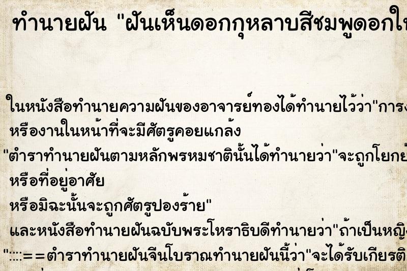 ทำนายฝันฝันเห็นดอกกุหลาบสีชมพูดอกใหญ่สวยงามมาก ทำนายฝันทำนายฝันฝันเห็นดอกกุหลาบสีชมพูดอกใหญ่สวยงามมาก
