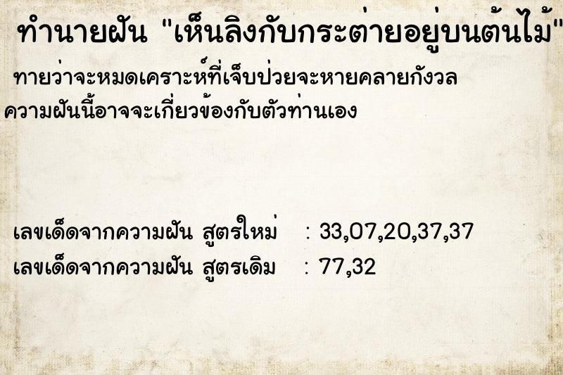 ทำนายฝัน เห็นลิงกับกระต่ายอยู่บนต้นไม้ แม่นๆ ฟรี ด้วยตำราหนังสือทำนายฝันโบราณ ทำนายฝันเห็นลิงกับกระต่ายอยู่บนต้นไม้