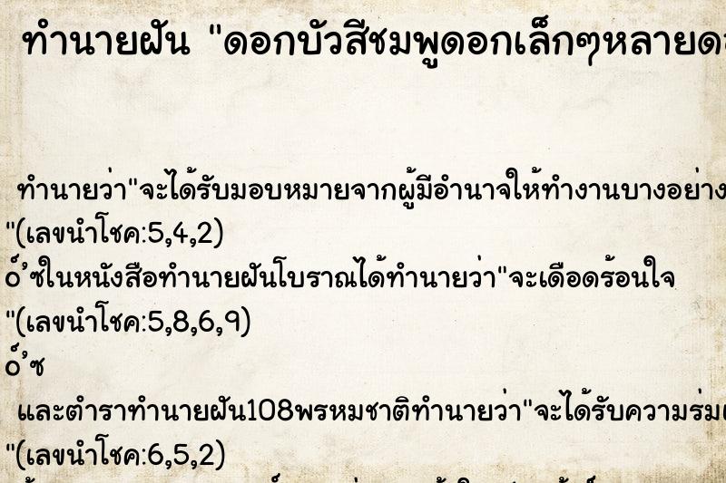 ทำนายฝันดอกบัวสีชมพูดอกเล็กๆหลายดอก ทำนายฝันทำนายฝันดอกบัวสีชมพูดอกเล็กๆหลายดอก