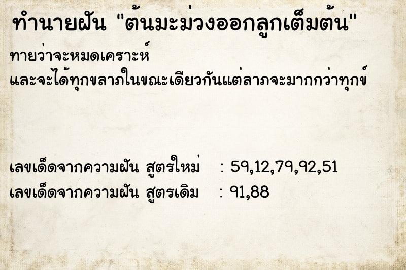 ทำนายฝันต้นมะม่วงออกลูกเต็มต้น ทำนายฝันทำนายฝันต้นมะม่วงออกลูกเต็มต้น