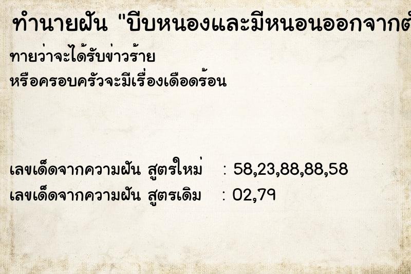 ทำนายฝันบีบหนองและมีหนอนออกจากตัวเอง ทำนายฝันทำนายฝันบีบหนองและมีหนอนออกจากตัวเอง