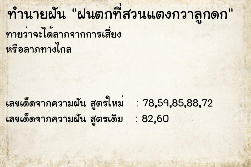 ทำนายฝันทำนายฝันฝนตกที่สวนแตงกวาลูกดก