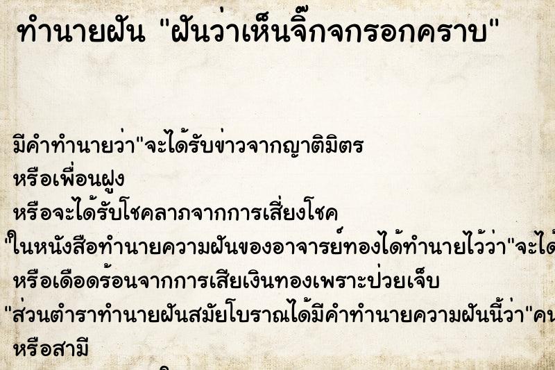 ทำนายฝัน ฝันว่าเห็นจิ๊กจกรอกคราบ ทำนายฝัน ฝันว่าเห็นจิ๊กจกรอกคราบ