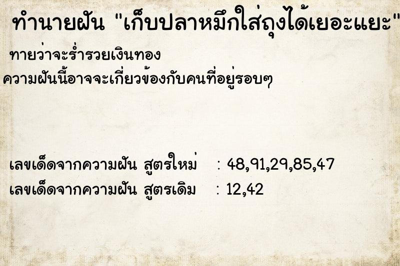 ทำนายฝันเก็บปลาหมึกใส่ถุงได้เยอะแยะ ทำนายฝันทำนายฝันเก็บปลาหมึกใส่ถุงได้เยอะแยะ