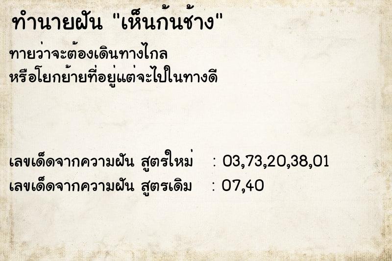 ทำนายฝันทำนายฝันเห็นก้นช้าง