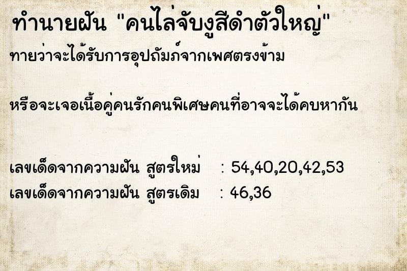 ทำนายฝันคนไล่จับงูสีดำตัวใหญ่ ทำนายฝันทำนายฝันคนไล่จับงูสีดำตัวใหญ่