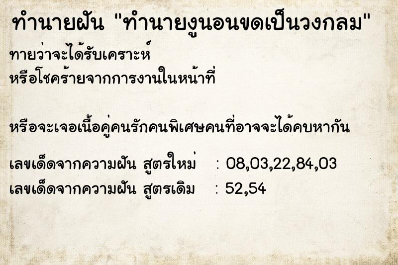ทำนายฝัน ทำนายงูนอนขดเป็นวงกลม ทำนายฝัน ทำนายงูนอนขดเป็นวงกลม