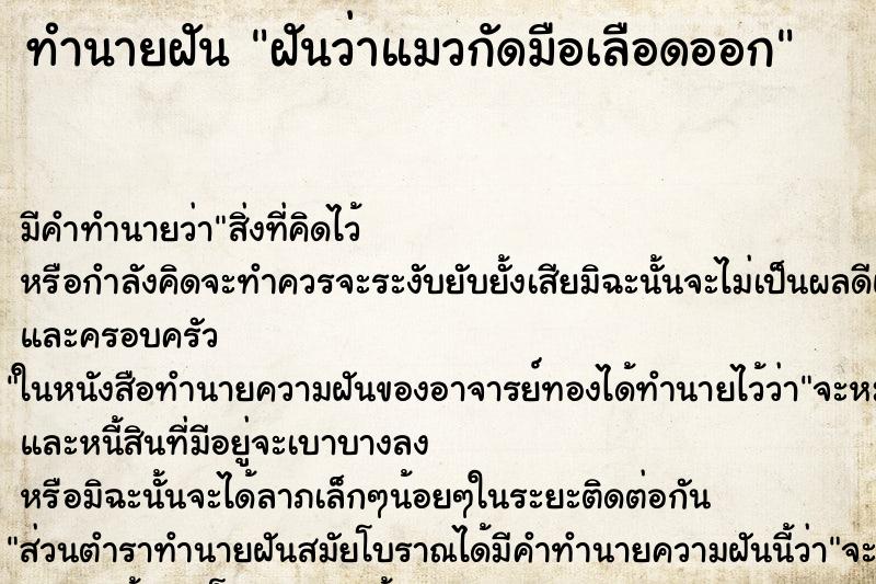 ทำนายฝัน ฝันว่าแมวกัดมือเลือดออก ทำนายฝัน ฝันว่าแมวกัดมือเลือดออก