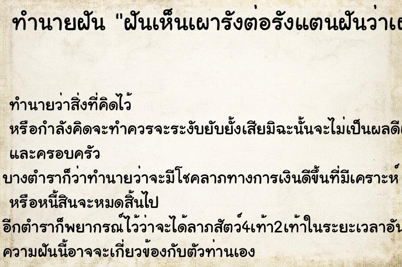 ทำนายฝันฝันเห็นเผารังต่อรังแตนฝันว่าเผารังต่อรังแต ทำนายฝันทำนายฝันฝันเห็นเผารังต่อรังแตนฝันว่าเผารังต่อรังแต