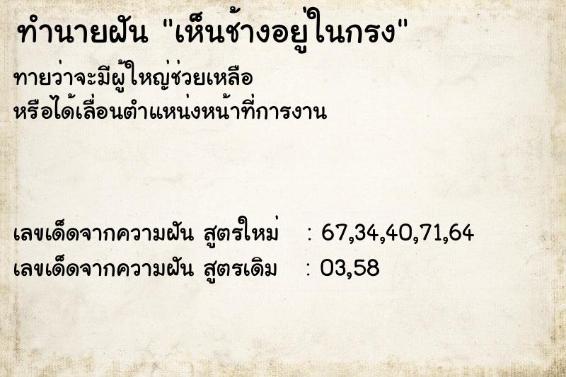 ทำนายฝันเห็นช้างอยู่ในกรง ทำนายฝันทำนายฝันเห็นช้างอยู่ในกรง