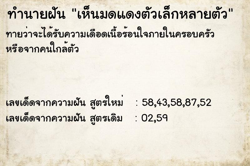 ทำนายฝันทำนายฝันเห็นมดแดงตัวเล็กหลายตัว